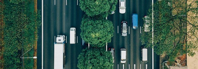 Auto’s en vrachtwagens rijden op een weg met meerdere rijstroken, omringd door bomen.