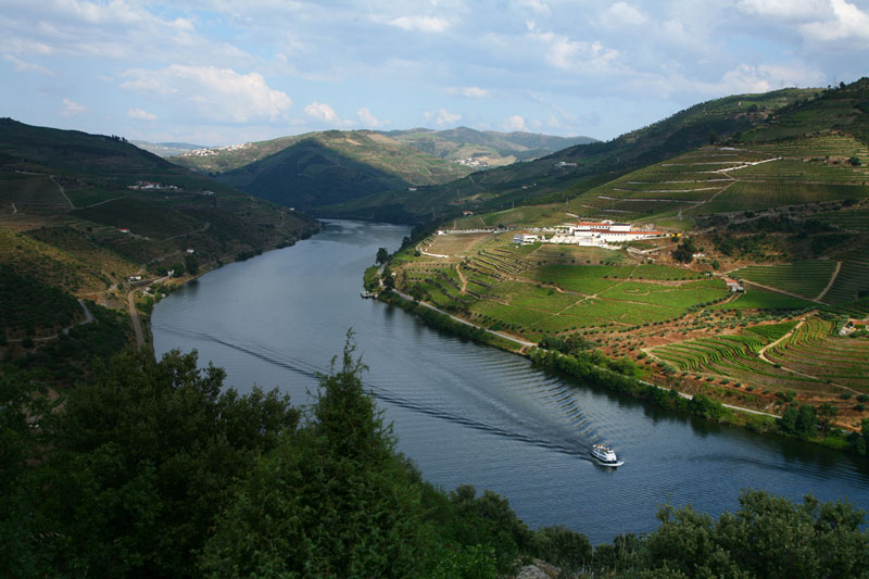 Cruisen op de Douro langsheen duizenden wijngaarden.
