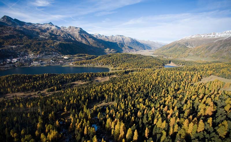Natuur bij St.Moritz