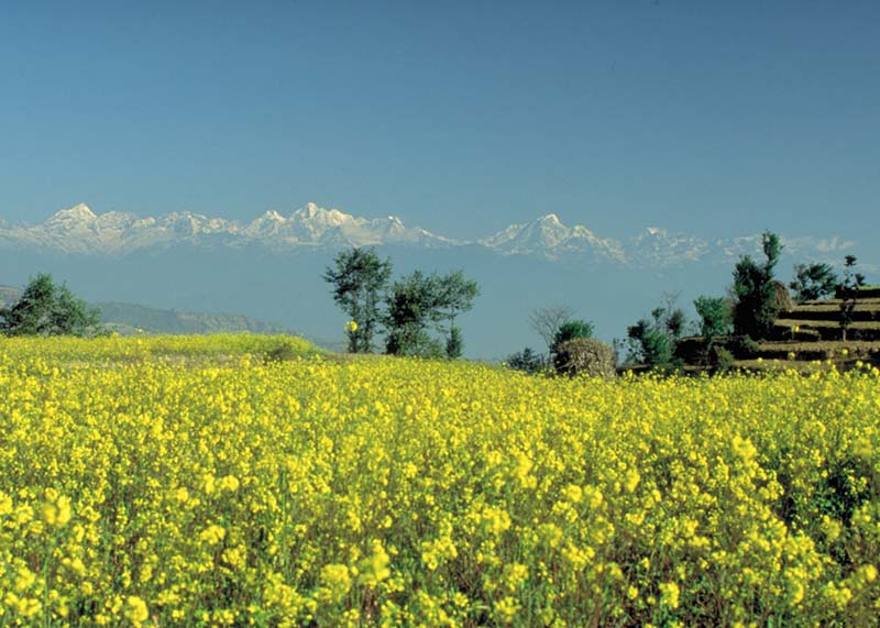 Op weg naar Pokhara, door een schiterende natuur met de eeuwige bergen steeds inzicht