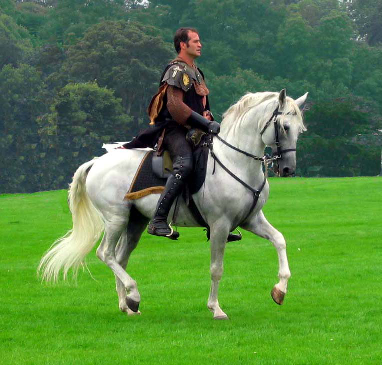 De prins op het witte paard drijft zijn vrouw ook gek.
