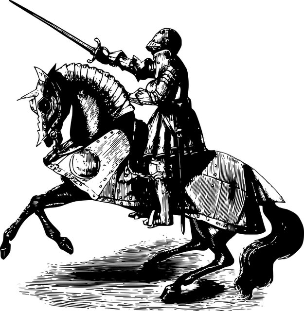 /127/Mysteriew/ridder (2).png