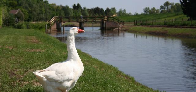 sluis2-640
