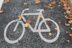 Een wit fietssymbool op het asfalt, met herfstbladeren eromheen.