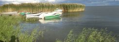 Kleine bootjes liggen aan een oever met hoog riet langs een uitgestrekt meer.