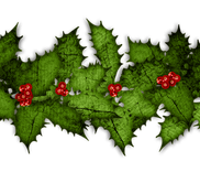 Een rij groene hulstbladeren met rode bessen.
