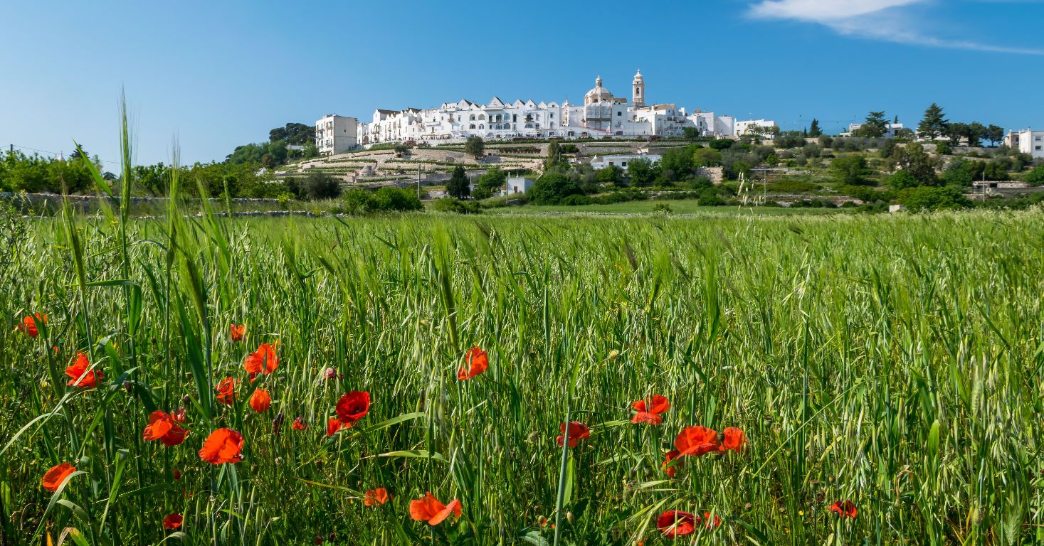 trullo 4.jpg