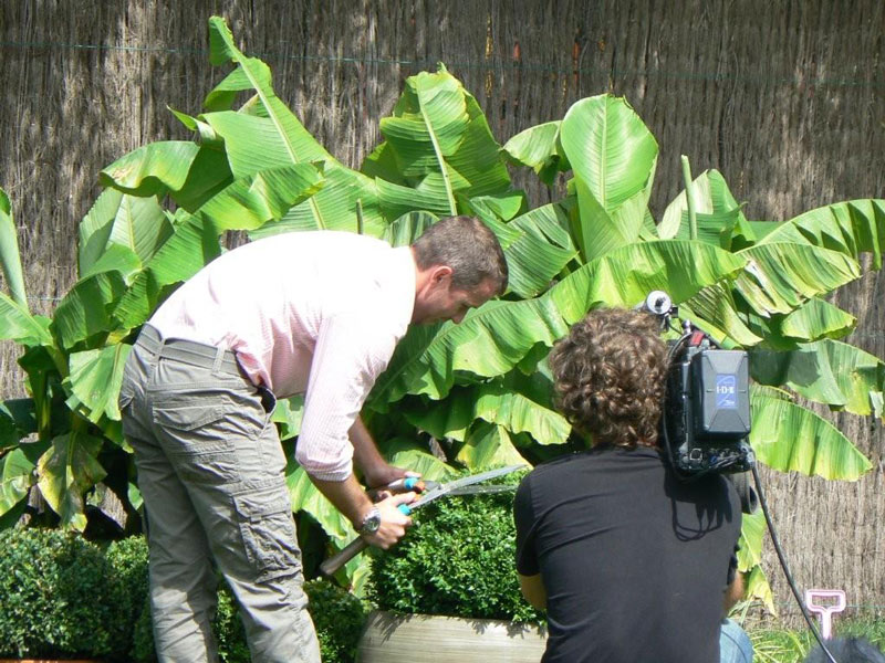 Het snoeien van de buxus kan twee maal per jaar. Maar nooit in volle zon