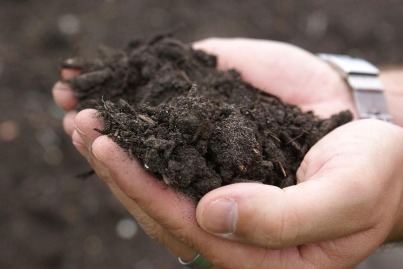 De compost die De Tuindokter hier in handen heeft is het resultaat van 9 tot 12 maanden telen.