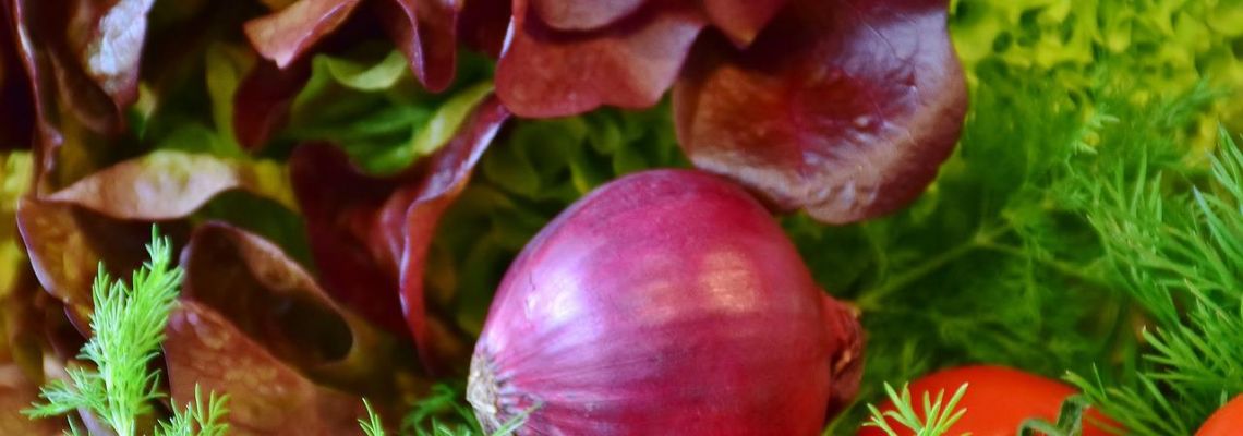 tuin3-1140