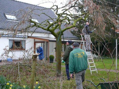 Tuin Stefaan Bingé.