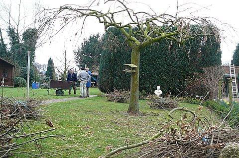 Snoeien: Treures NA de snoeidemonstratie.