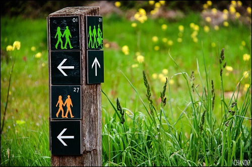wegwijzer Groene Wandeling_Chando